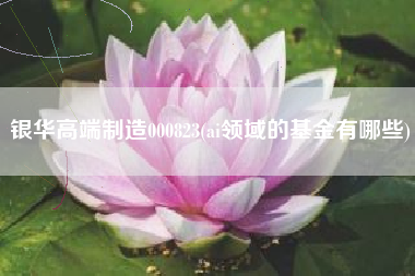 银华高端制造000823(ai领域的基金有哪些)