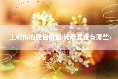 工银核心混合价值(储能基金有哪些)