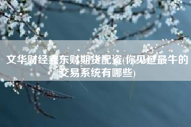 文华财经鑫东财期货配资(你见过最牛的交易系统有哪些)