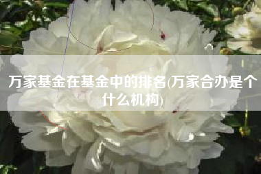 万家基金在基金中的排名(万家合办是个什么机构)