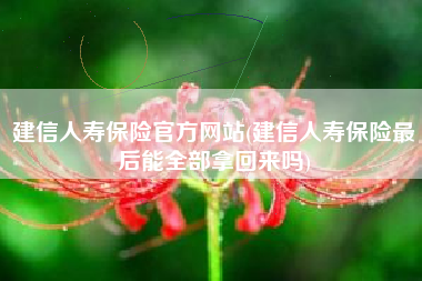 建信人寿保险官方网站(建信人寿保险最后能全部拿回来吗)