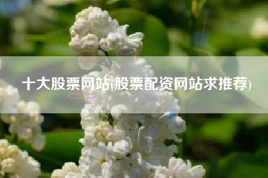 十大股票网站(股票配资网站求推荐)