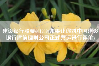 建设银行股票601939(如果让你对中国建设银行建信理财公司正式营运进行评价)