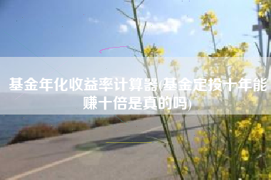 基金年化收益率计算器(基金定投十年能赚十倍是真的吗)