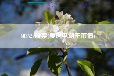 603529股票(爱玛电动车市值)