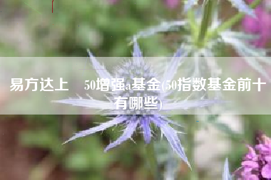 易方达上証50增强a基金(50指数基金前十有哪些)