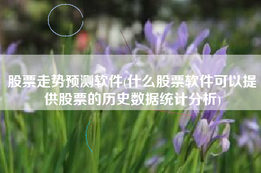 股票走势预测软件(什么股票软件可以提供股票的历史数据统计分析)