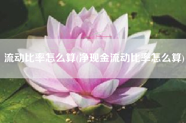 流动比率怎么算(净现金流动比率怎么算)