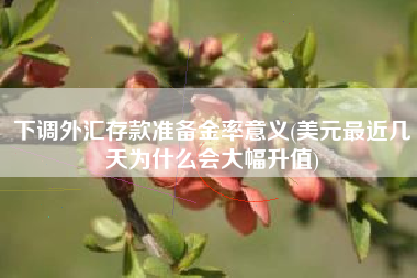 下调外汇存款准备金率意义(美元最近几天为什么会大幅升值)