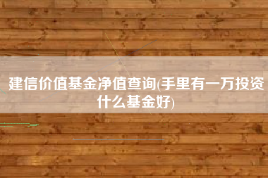 建信价值基金净值查询(手里有一万投资什么基金好)