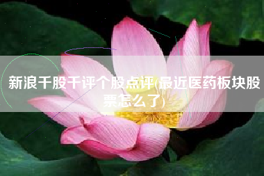 新浪千股千评个股点评(最近医药板块股票怎么了)