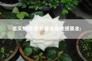 嘉实短债(那些基金是纯债基金)