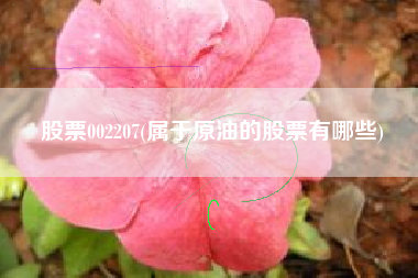 股票002207(属于原油的股票有哪些)