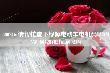 600216(请帮忙查下绿源电动车电机码LYDM550800428Y0216L600216)