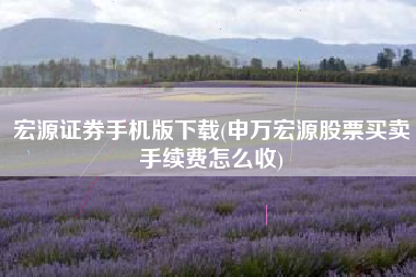 宏源证券手机版下载(申万宏源股票买卖手续费怎么收)