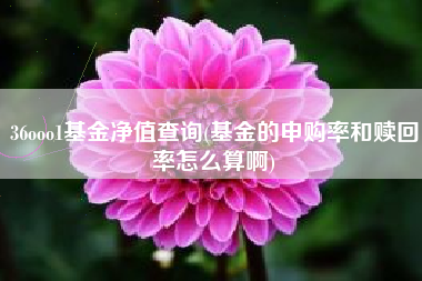 36ooo1基金净值查询(基金的申购率和赎回率怎么算啊)