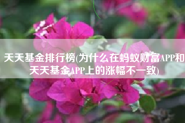 天天基金排行榜(为什么在蚂蚁财富APP和天天基金APP上的涨幅不一致)