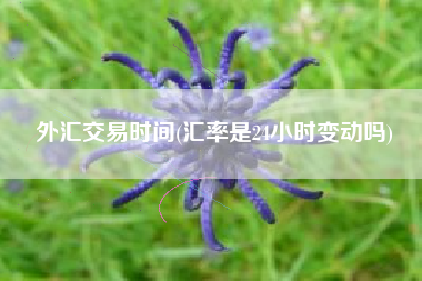 外汇交易时间(汇率是24小时变动吗)