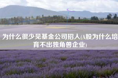 为什么很少见基金公司招人(A股为什么培育不出独角兽企业)