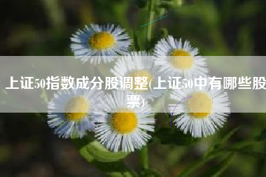 上证50指数成分股调整(上证50中有哪些股票)