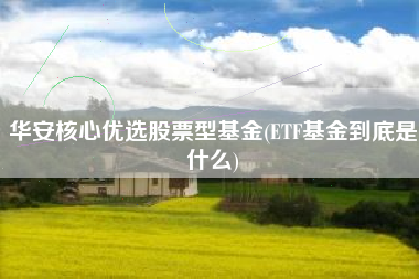 华安核心优选股票型基金(ETF基金到底是什么)