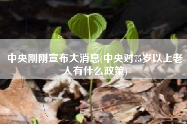 中央刚刚宣布大消息(中央对75岁以上老人有什么政策)
