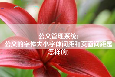 公文管理系统(
公文的字体大小字体间距和页面间距是怎样的) 公文管理系统(
公文的字体大小字体间距和页面间距是怎样的)