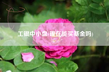 工银中小盘(现在能买基金吗)