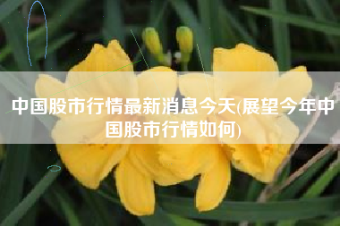 中国股市行情最新消息今天(展望今年中国股市行情如何)