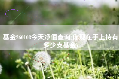 基金260108今天净值查询(你现在手上持有多少支基金)