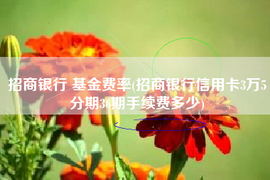 招商银行 基金费率(招商银行信用卡3万5分期36期手续费多少)
