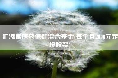 汇添富医药保健混合基金(每个月2000元定投股票)