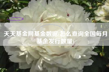 天天基金网基金数据(怎么查询全国每月基金发行数量)