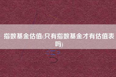 指数基金估值(只有指数基金才有估值表吗)