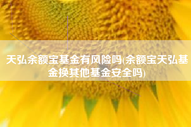 天弘余额宝基金有风险吗(余额宝天弘基金换其他基金安全吗)