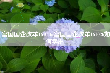 富国国企改革161026(富国国企改革161026如何卖出)