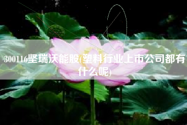 300116坚瑞沃能股(塑料行业上市公司都有什么呢)