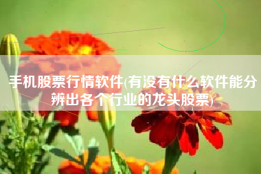 手机股票行情软件(有没有什么软件能分辨出各个行业的龙头股票)
