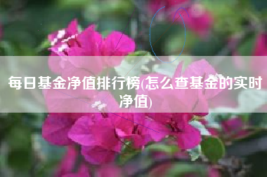 每日基金净值排行榜(怎么查基金的实时净值)