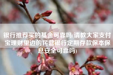 银行推荐买的基金可靠吗(请教大家支付宝理财里边的民营银行定期存款保本保息安全可靠吗)