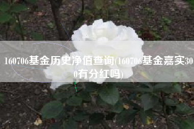 160706基金历史净值查询(160706基金嘉实300有分红吗)