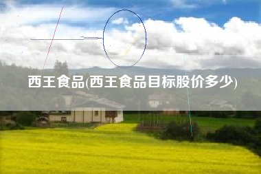 西王食品(西王食品目标股价多少)