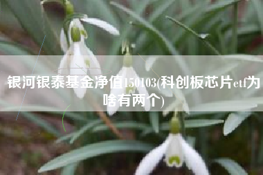 银河银泰基金净值150103(科创板芯片etf为啥有两个)