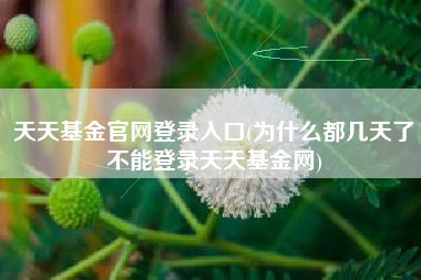 天天基金官网登录入口(为什么都几天了不能登录天天基金网)
