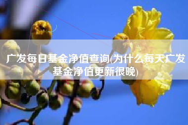 广发每日基金净值查询(为什么每天广发基金净值更新很晚)
