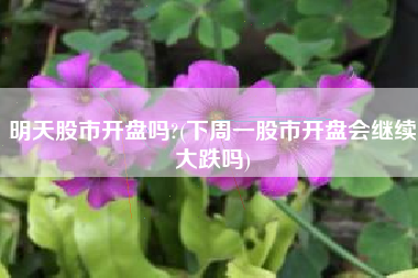 明天股市开盘吗?(下周一股市开盘会继续大跌吗)