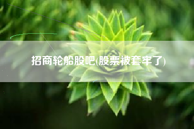 招商轮船股吧(股票被套牢了)