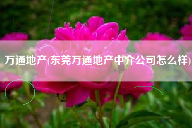 万通地产(东莞万通地产中介公司怎么样)