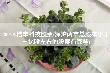 300419浩丰科技股票(深沪两市总股本小于三亿股左右的股票有哪些)