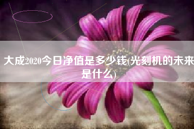 大成2020今日净值是多少钱(光刻机的未来是什么)